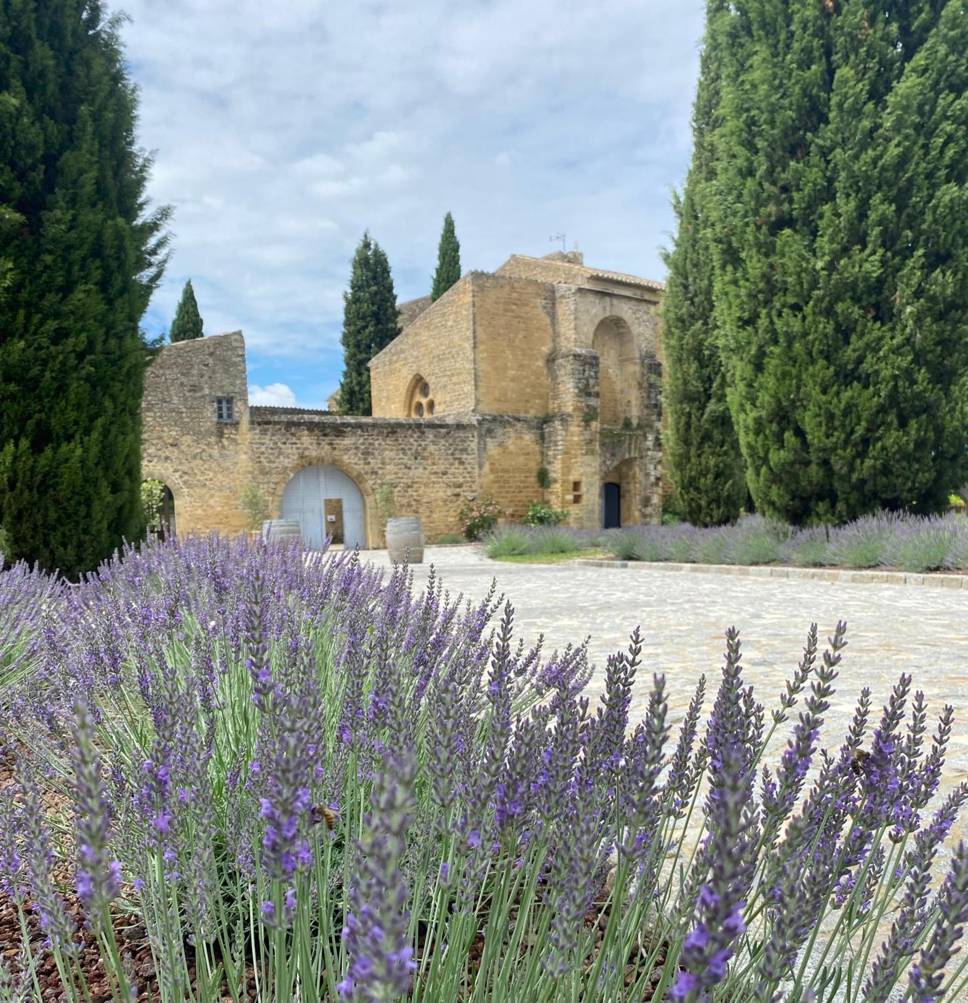 Chateau Saint-Pierre De Mejans Puyvert Экстерьер фото