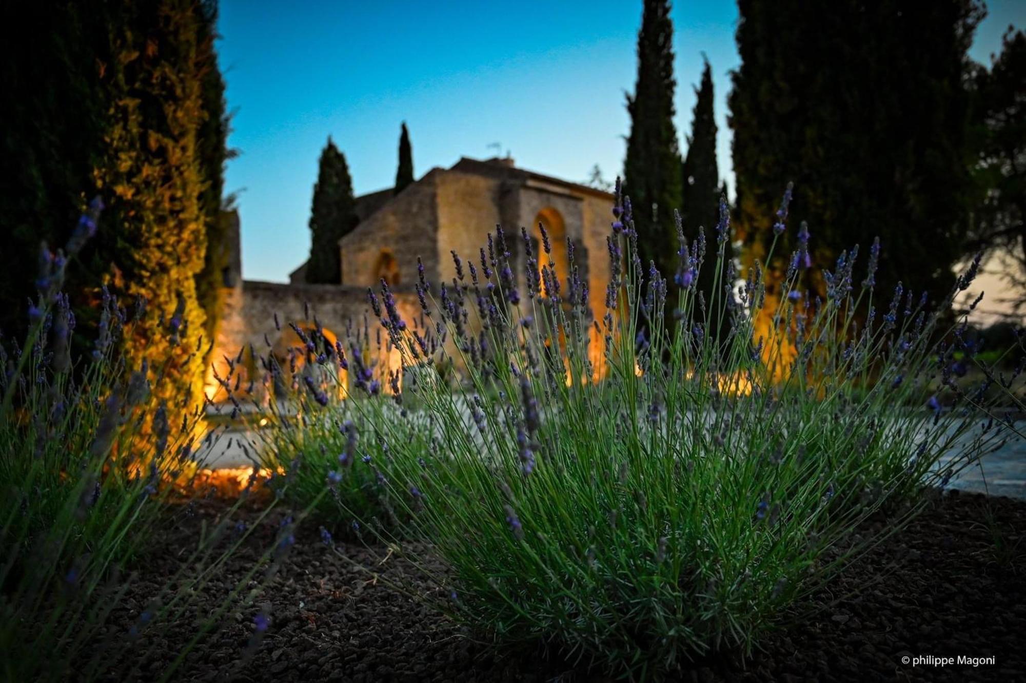 Chateau Saint-Pierre De Mejans Puyvert Экстерьер фото