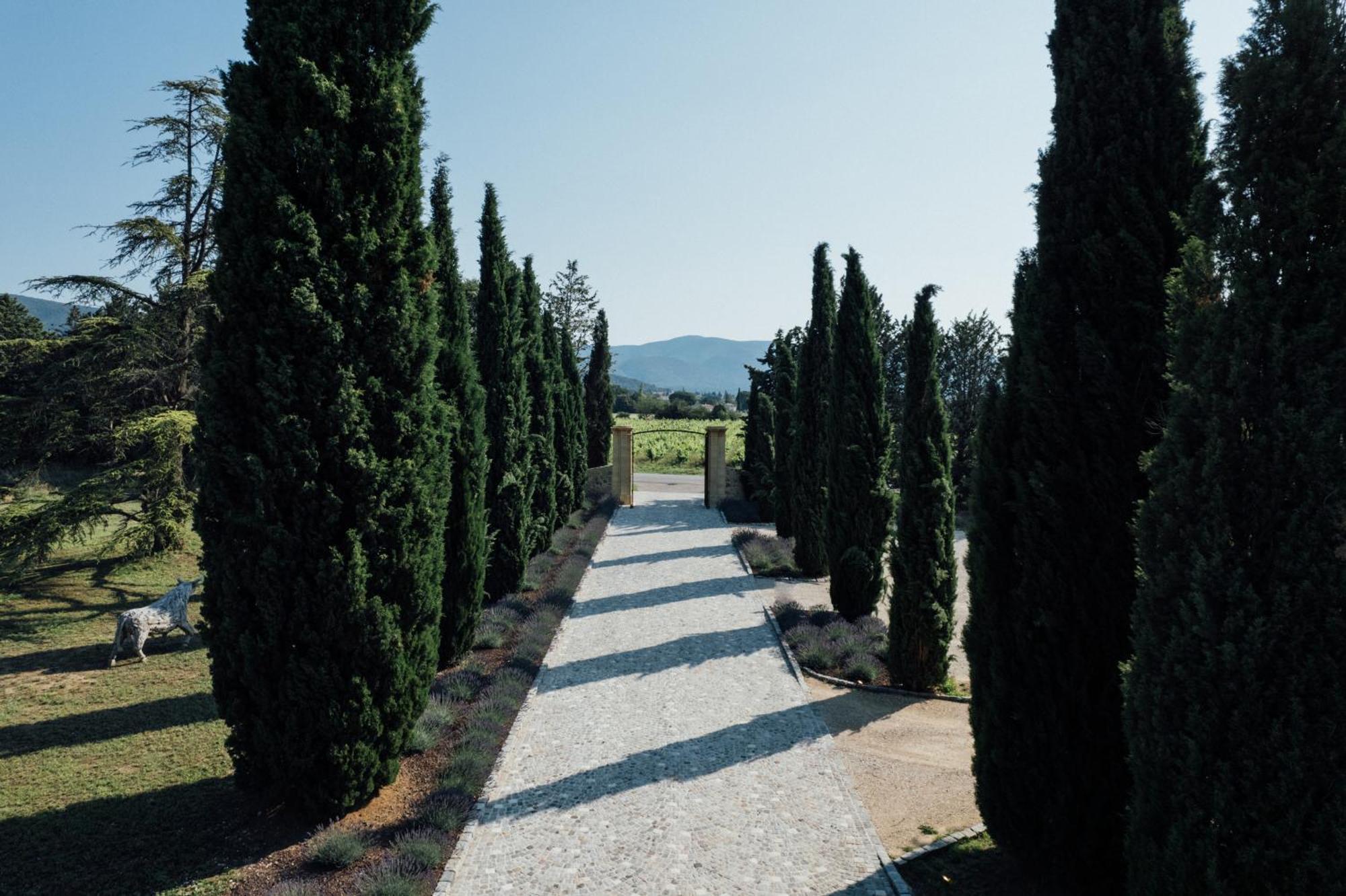 Chateau Saint-Pierre De Mejans Puyvert Экстерьер фото